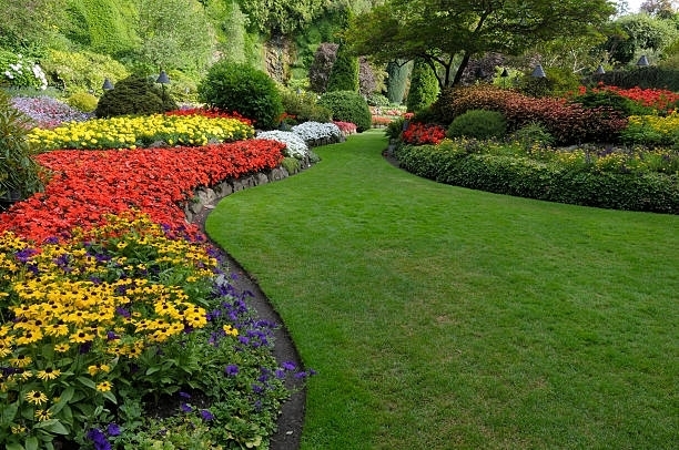 Winding garden path bordered by vibrant mixed flower beds with black-eyed Susans, impatiens, and seasonal blooms
