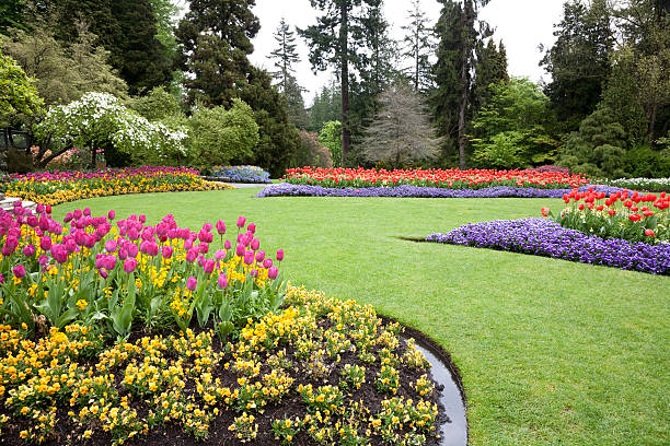 Sweeping garden landscape with curved flower beds filled with tulips, pansies, and spring blooms on a manicured lawn